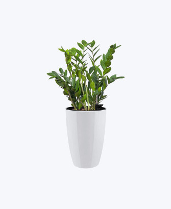 artificial leaf plant