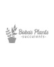 Bodas Plants